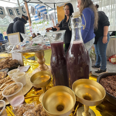 565918737_1365396508705008_2978979918827363577_n