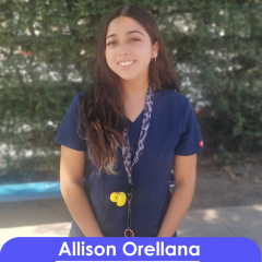 Allison