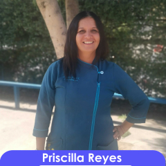 priscilla-reyes